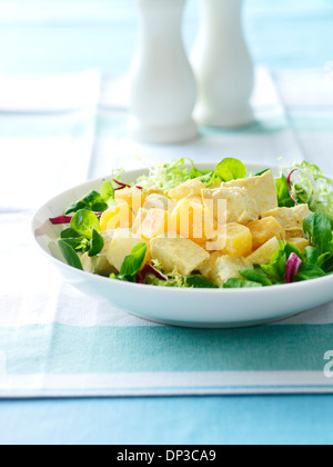 Bébé mixte salade garnie de poulet et les fruits, Studio Shot Banque D'Images
