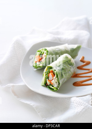 Rouleau de printemps au poulet et aux crevettes avec des carottes, brocoli et menthe Entrée, Studio Shot Banque D'Images