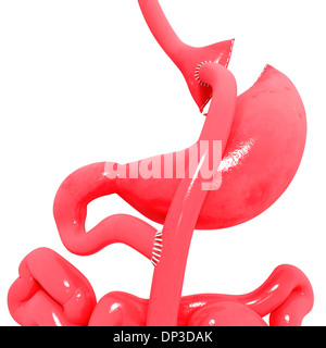 Gastric Bypass, artwork Banque D'Images