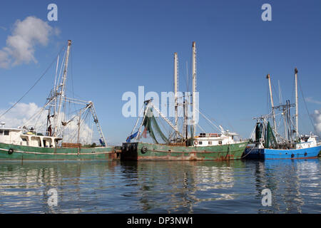 Jul 14, 2006 ; Venise, LA, USA ; certains bateaux de crevettes au quai à Venise, en Louisiane sont de retour en affaires près d'un an après l'ouragan Katrina a frappé la région. Les crevettiers commerciaux de pêche ou la livraison de l'Alabama, du Mississippi et de la Louisiane ports représente près de la moitié de tous les États-Unis la production de crevettes. Katrina a détruit ou gravement endommagé les crevettiers et de transformation de crevettes et st Banque D'Images