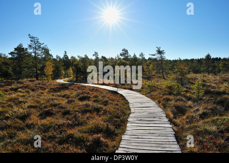 La demande par Bog avec Sun dans le ciel en automne, Schwarzes Moor, Fladungen Rhon, Montagnes, Bavière, Allemagne Banque D'Images