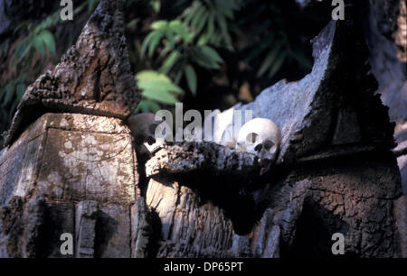 Oct 09, 2006 ;, Toraja de Sulawesi du Sud, en Indonésie ; l'avis de Torajan tombes suspendues. Les cercueils sont placés profondément à l'intérieur d'une grotte ; la vie, Tau-Tau dimensions en bois sculpté et des effigies de la mort, s'asseoir à l'entrée. Crédit obligatoire : Photo par Edy Purnomo/JiwaFoto/ZUMA Press. (©) Copyright 2006 par JiwaFoto Banque D'Images