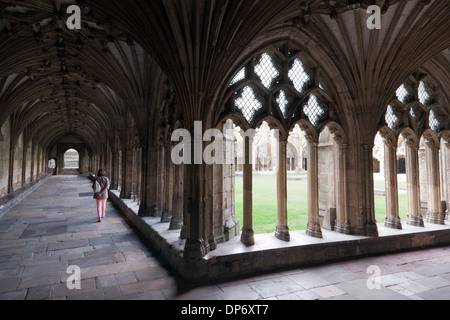 Le cloître, la Cathédrale de Canterbury, Canterbury, Kent, Banque D'Images