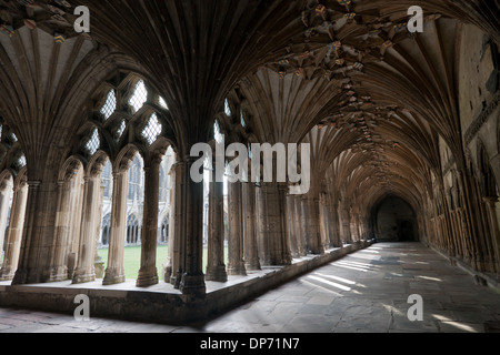 Le cloître, la Cathédrale de Canterbury, Canterbury, Kent, Banque D'Images