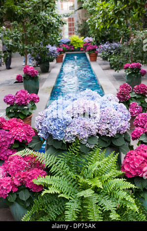 À l'intérieur de l'United States Botanic Garden à Washington DC, USA Banque D'Images