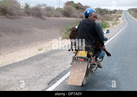 Cycle du moteur avec client taxi transportant une chèvre sur Nairobi Namanga, au sud du Kenya Africa Kajiado Banque D'Images