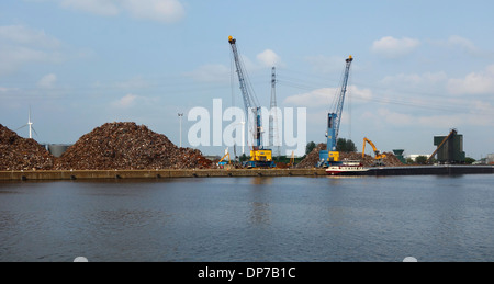 Grues de quai et des tas de ferraille à Van Heyghen Recycling terminal dans le port de Gand, Flandre orientale, Belgique Banque D'Images