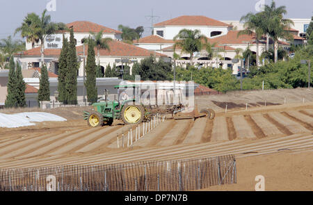 Oct 05, 2006 ; San Diego, CA, USA ; les champs de fleurs ont été préservés pour l'agriculture. Un travailleur agricole a été cueillir des fleurs du champs de fleurs de Carlsbad. Crédit obligatoire : Photo par Scott Linnet/San Diego Union-Tribune/ZUMA Press. (©) Copyright 2006 par San Diego Union-Tribune Banque D'Images