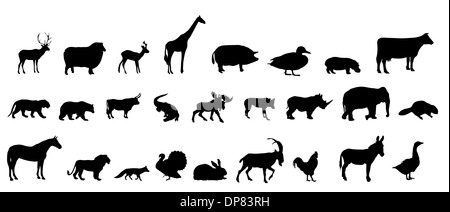 Vector set d'animaux silhouette Banque D'Images