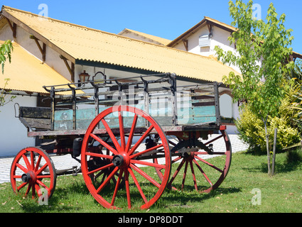 Journée ensoleillée sur une ferme laitière en Uruguay Banque D'Images