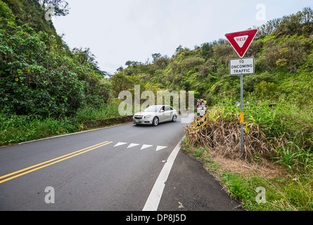 La célèbre route de Hana à Maui, Hawaii. Banque D'Images