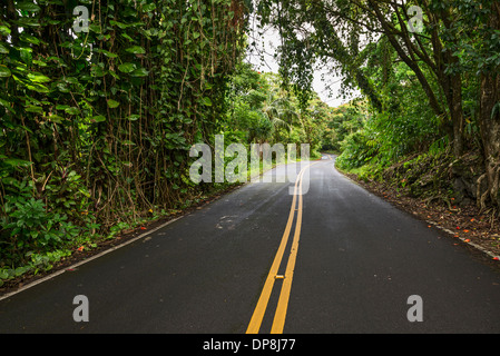 La célèbre route de Hana à Maui, Hawaii. Banque D'Images