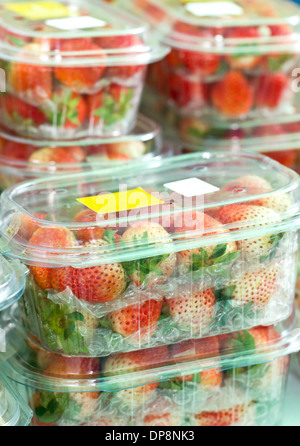 Fraises fraîches dans des boîtes plastiques fermées en marché. Banque D'Images