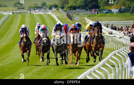 Les courses de chevaux au Curragh France Banque D'Images