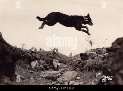 Un chien saute sur une tranchée, dans laquelle les soldats allemands sont photographiés en position de combat. Date et lieu inconnus. Fotoarchiv für Zeitgeschichte Banque D'Images