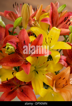 Les lilas asiatiques rouges, orange et jaunes s'ouvrent dans un vase à la maison Banque D'Images