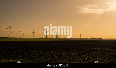 Éoliennes au lever du soleil dans le paysage hollandais Banque D'Images