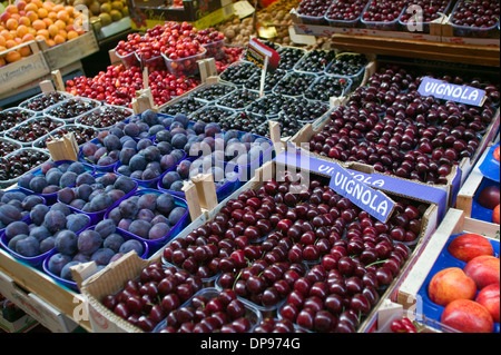 Cerises de Vignola affichée à la marché dans le centre de Bologna Orefici Banque D'Images