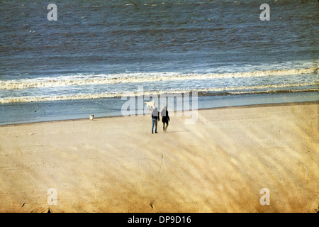 Couple en train de marcher sur la plage avec leurs chiens Banque D'Images