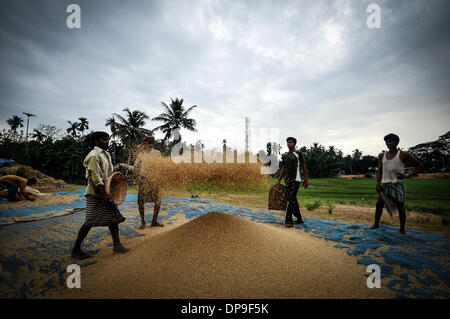 28 mai 2013 - Jirania, Tripura, Inde - Les agriculteurs sont le nettoyage de la poussière et des choses de riz en Jirania, 10 km d'Agartala ville. Le Conseil de recherche sur le riz a financé plusieurs projets de recherche de 1979 jusqu'à 1983 pour trouver des utilisations économiques pour la paille de riz. Le principal objectif de ces projets était de réduire ou éliminer la combustion de paille de riz comme le moyen pour l'élimination. Utilise pour la paille qui ont été étudiés comprennent l'alimentation du bétail, ce qui fait de fibres de bois, la production d'énergie, conversion à du sirop de sucre et de protéine de levure, et la fabrication de la pâte à papier et de divers produits industriels. (Crédit Image : © Abhi Banque D'Images