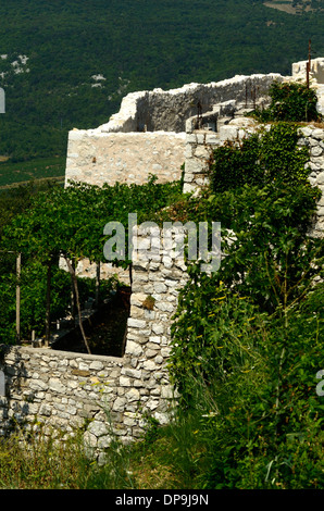 Plomin Istrie Croatie vieux village de pêcheurs de détails Banque D'Images