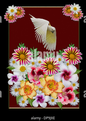 Art floral spectaculaire - grappe de multi-couleur lumineux de fleurs de printemps contre fond brun avec flying cacatoès passé Banque D'Images