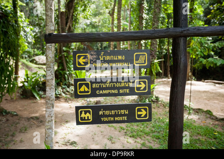 Mettre des affiches accroché sur panneau Koh Pha Ngan, Thailand Banque D'Images