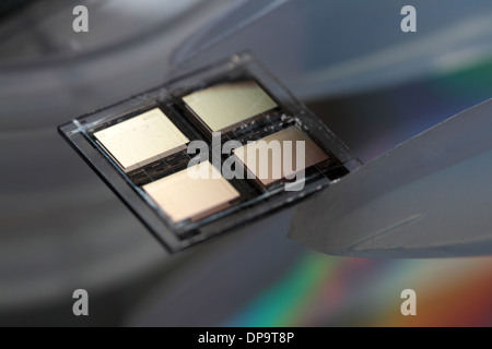 Une pince à épiler avec une puce avec un plat Banque D'Images