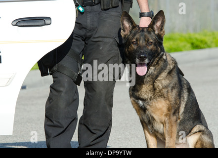 Un chien policier assis à côté de son maître. Banque D'Images