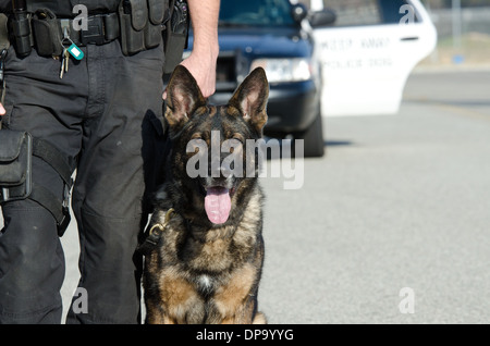 Une K9 agent de police avec son chien. Banque D'Images