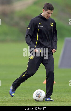 La Manga, en Espagne. 10 janvier, 2014. Robert Lewandowski duirng Dortmund est une session de formation à La Manga, en Espagne, le 10 janvier 2014. Borussia Dortmund se prépare pour la deuxième moitié de la Bundesliga allemande. Photo : KEVIN KUREK/dpa/Alamy Live News Banque D'Images