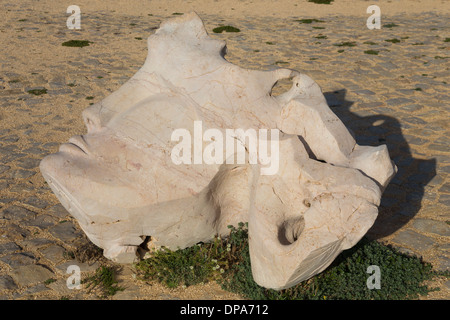 Argonaut - Sculpture par Mario Miranda à Sagres, Portugal Banque D'Images