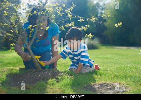 La mère et le fils dans la plantation d'arbres jardin Banque D'Images