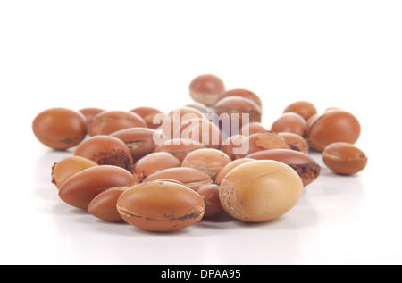 Close up grand groupe de noix d'argan isolé sur un fond blanc. L'abondance de l'espace de copie. Studio shot horizontale. Banque D'Images