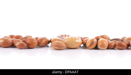 Grand groupe de noix d'argan sur un fond blanc. L'abondance de l'espace de copie. Studio shot horizontale. Banque D'Images