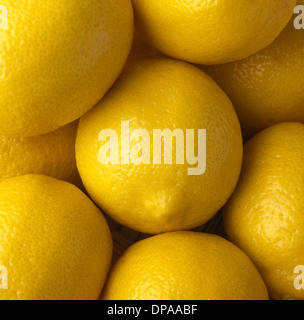 Groupe de citrons Banque D'Images