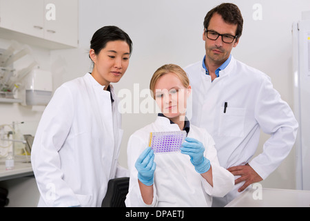 Groupe de scientifiques examinant plaque de microtitration solution cristal violet Banque D'Images