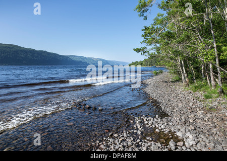 Le Loch Ness à Foyers en Ecosse. Banque D'Images