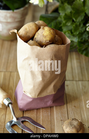 Les pommes de terre crues en sac en papier brun Banque D'Images