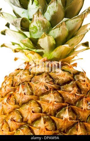 Sweet Ripe Ananas isolé sur fond blanc Banque D'Images