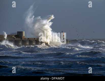 Brighton Marina prend un coups de vagues de tempête Banque D'Images