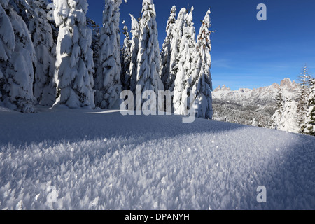 Hiver dans les Dolomites de Cadore. Cristaux de neige. Plateau de Pian dei Buoi. Les Dolomites. Paysage de montagne. Vénétie, Alpes italiennes. Europe. Banque D'Images