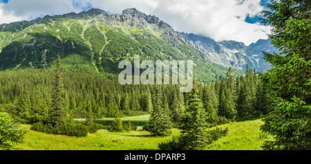 Vue sur un petit lac dans les montagnes Banque D'Images