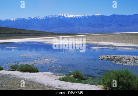 Elk248-1618 Californie, Death Valley National Park, Badwater, -280 m d'altitude Banque D'Images