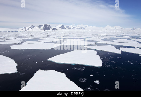 Paysage de l'Antarctique - croisière parmi les icebergs Banque D'Images