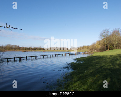 Sentier inondé de Bradville, Milton Keynes, Buckinghamshire, Angleterre. Banque D'Images