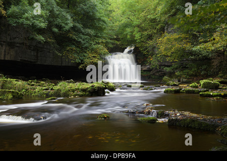 West Burton Falls (Chutes) chaudron, Walden Beck, North Yorkshire, Angleterre. Banque D'Images