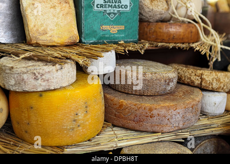 Différents types de fromage à maturité sur le stand en Italie. Banque D'Images