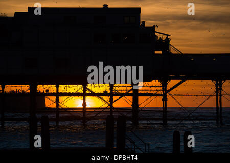 Aberystwyth, Pays de Galles, Royaume-Uni. 11 janvier 2014. À la fin d'une semaine qui a vu d'énormes tempêtes détruisant une grande partie de la promenade victorienne d'Aberystwyth, des dizaines de milliers d'étourneaux toujours revenir à roost sous les pier au crépuscule photo Credit : Keith morris/Alamy Live News Banque D'Images