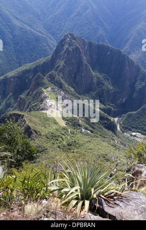 Vue aérienne de Machu Picchu, vu de la Mach Picchu Montagne, Pérou Banque D'Images